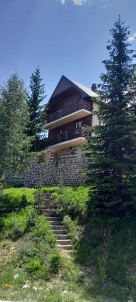 Green Pine House